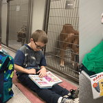 Animal Shelter Receives Overwhelming Response After Inviting Children To Read To Rescue Animals - Activist Post