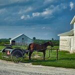 Michigan county threatens to demolish 14 Amish homes unless they give up their religious beliefs and upgrade their homes
