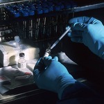 Does The Coronavirus Pandemic Serve A Global Agenda?